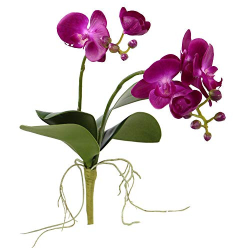 Rinlong Silk Orchids Purple Artificial Orchid Flowers Fake Phalaenopsis Stems with Orchid Leaves for Home Kitchen Bedroom Dining Table Centerpiece Decor
