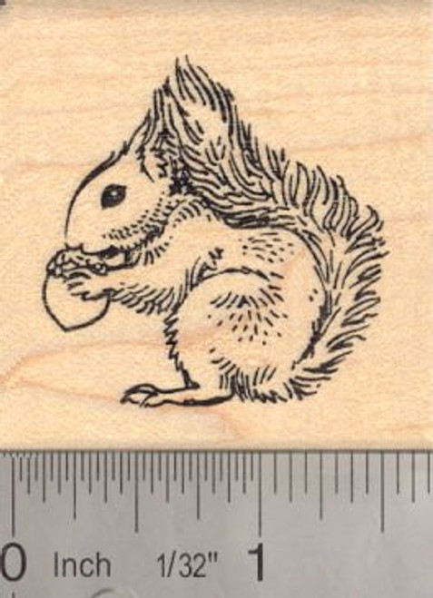 Red Squirrel Rubber Stamp Great Britain  Ireland