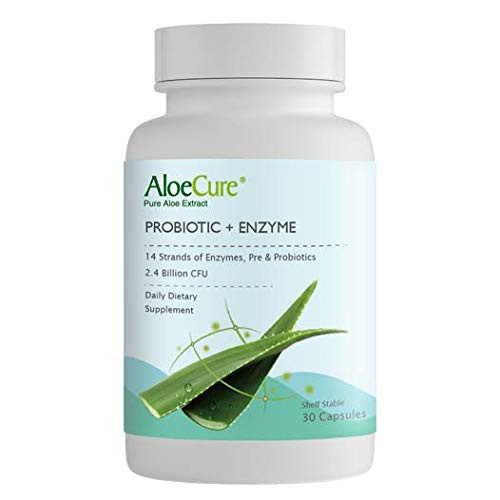 AloeCure Probiotic Plus Enzyme Capsules with Prebiotics 2.4 Billion CFU Plus Fortify Your Digestive System 24 7 30 Capsules 1 Bottle Supply AloeCure Probiotic Plus Enzyme Capsules with Prebiotics 2.4 Billion CFU Plus Fortify Your Digestive System 24 7 30 Capsules 1 Bottle Supply