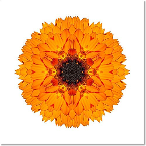 Orange Marigold Mandala Flower Kaleidoscope Isolated On White Paper Print Wall Art  8in. x 8in.