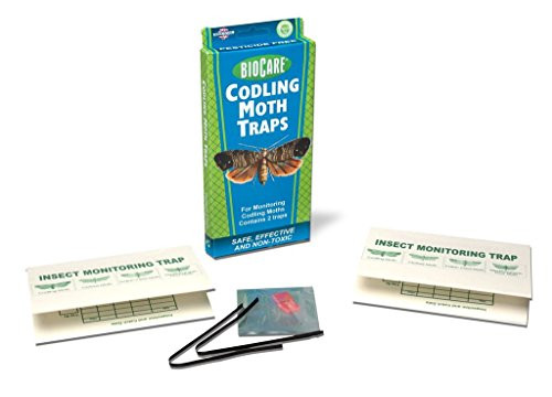 BioCare Codling Moth Monitoring Traps with Pheromone Lures, Nontoxic and Pesticide-Free, Made in USA, 2 Count