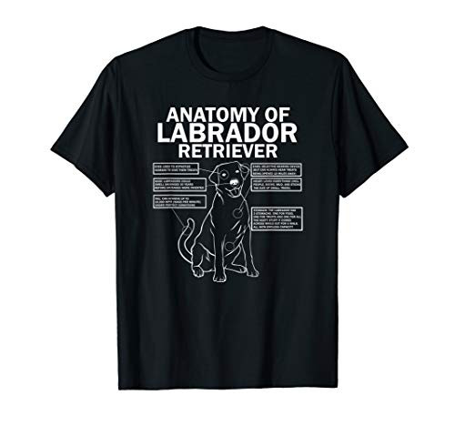 Anatomy of a Labrador Retriever Funny Lab Dog Owner Gifts T-Shirt Anatomy of a Labrador Retriever Funny Lab Dog Owner Gifts T-Shirt