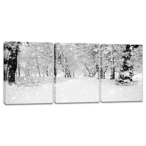 iKNOW FOTO 3pcs Winter Canvas Wall Art BMW Landscape Painting New York Central Park Picture Printed on Canvas Modern Home Decoration Framed Artwork Ready to Hang 12x16inchx3pcs