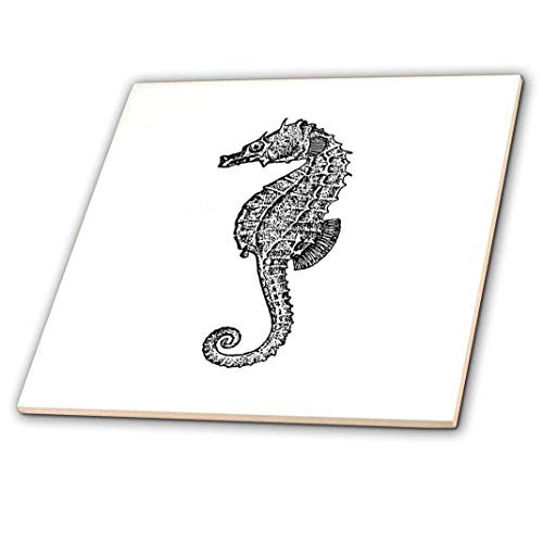 3dRose ct_164955_3 Seahorse Vintage Black and White Illustration Ocean Aquarium Sea Horse-Ceramic Tile, 8-Inch
