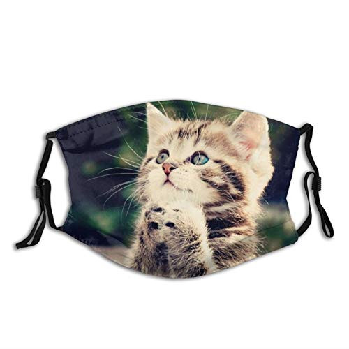 Cute Cat Praying For Love Face Mask With Filter Pocket Washable Reusable Face Bandanas Balaclava With 2 Pcs Filters
