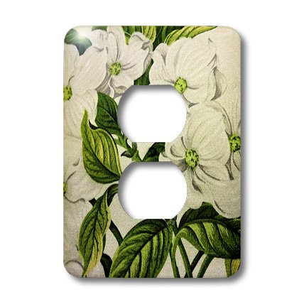 3dRose LLC lsp_39681_6 White Flowers Green Leaves 2 Plug Outlet Cover
