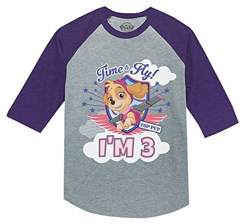 Paw Patrol Skye Girls 3rd Birthday Gift 3 4 Sleeve Baseball Jersey Toddler Shirt 4T Purple