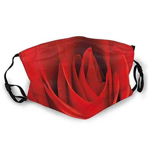 Fashion Comfortable Windproof mask?Close Up Of A Red Rose Bloom Fresh Natural Beauty Love Valentines Day Couples Theme?Printed Facial decorations for all adult Fashion Comfortable Windproof mask?Close Up Of A Red Rose Bloom Fresh Natural Beauty Love Valentines Day Couples Theme?Printed Facial decorations for all adult