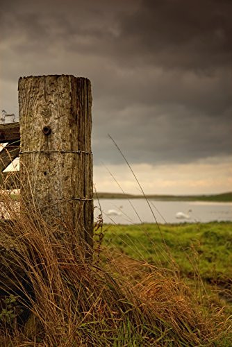Posterazzi Northumberland England A Wooden Fence Post And A Pond In A Field Poster Print   12 x 19