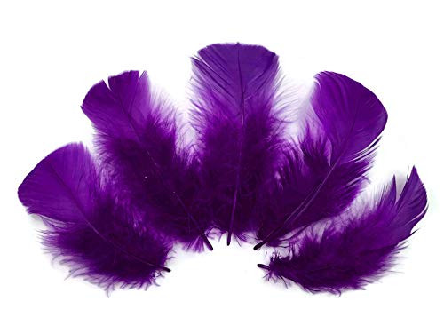 1 4 Lb. - Purple Dyed Turkey T-Base Body Plumage Wholesale Feathers  Bulk  Costume Carnival Craft Supply  Moonlight Feather