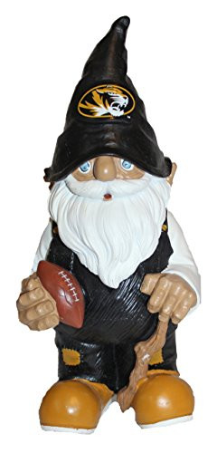 Missouri 2008 Team Gnome