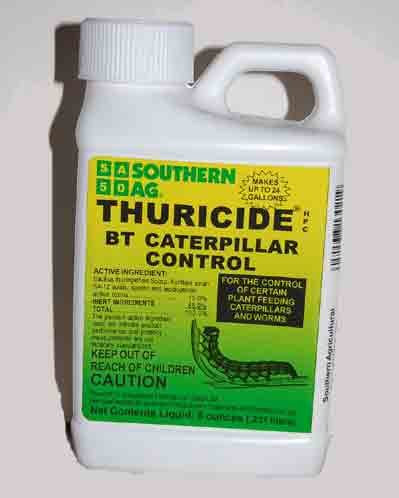 Thuricide Concentrate  1 pint