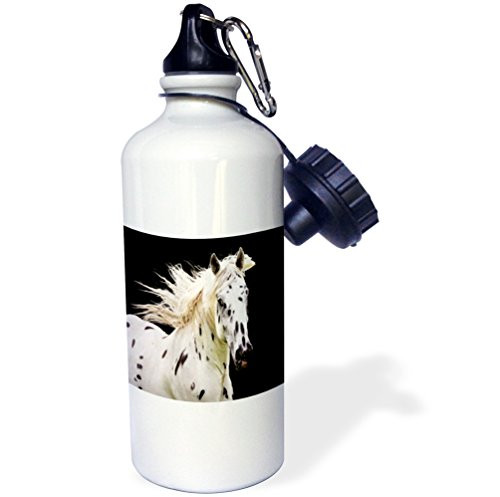 3dRose Dracula Castle in Romania Sports Water Bottle  21 oz  Brown