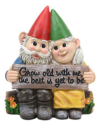 Ebros Whimsical Mr and Mrs Gnome Hobbit Couple Sitting On Garden Log Statue 6.25" Tall 'Grow Old with Me The Best is Yet to Be' Gnomes Home Decor Sculpture Figurine
