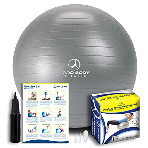 Exercise Ball - Professional Grade Anti-Burst Yoga Fitness  Balance Ball for Pilates  Yoga  Stability Training and Physical Therapy  Silver  55cm Exercise Ball - Professional Grade Anti-Burst Yoga Fitness  Balance Ball for Pilates  Yoga  Stability Training and Physical Therapy  Silver  55cm