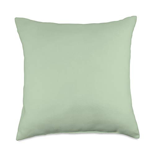 SqueakyRicardo Light Sage Green Solid Color Plain Background Throw Pillow  18x18  Multicolor