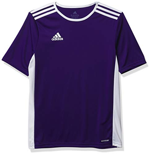 adidas mens Youth Entrada 18 Jersey Collegiate Purple White Youth X-Large