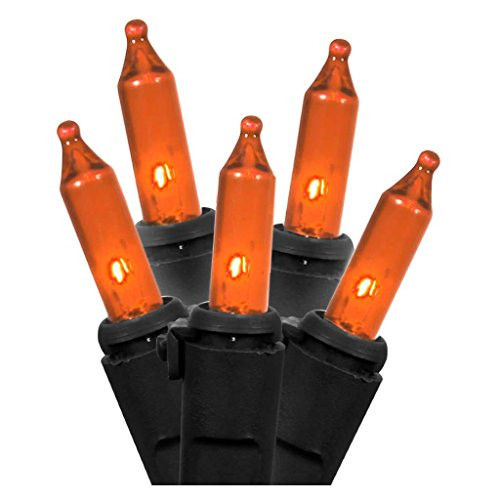Vickerman LED Light Set  35Lt  Black Orange