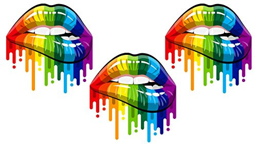 FESLLC Gay Pride Bumper Sticker Lips Smile Rainbow Design Decal (3 Pack)