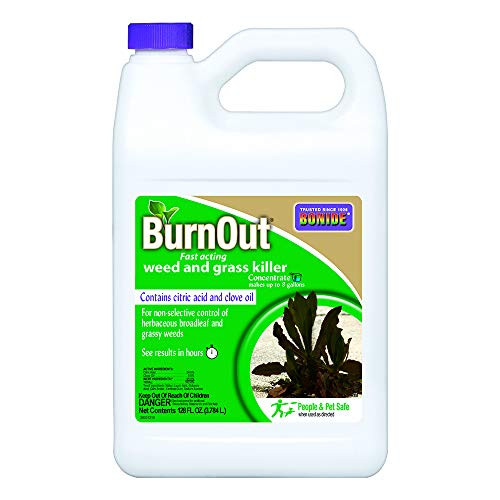 Bonide  BND7465  - Burnout Concentrate  Fast Acting Weed and Grass Killer  1 gal.  Multicolor 128 Oz