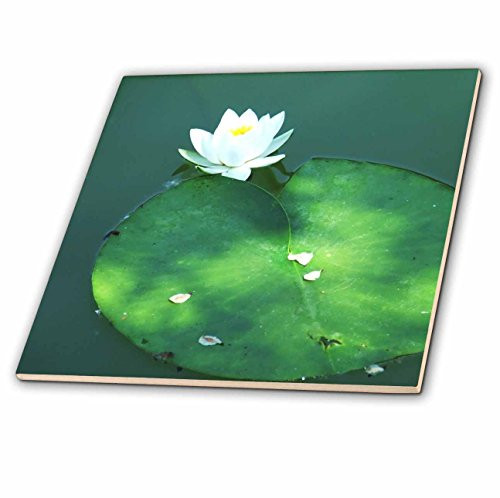 3dRose ct_44783_2 White Lotus Blossom on Green Lily Pad-Ceramic Tile, 6-Inch