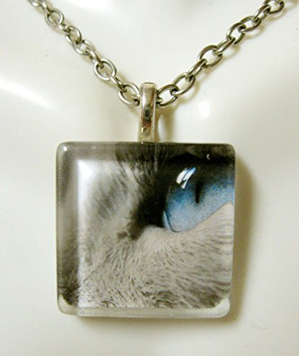 Blue eyed gray cat pendant and chain - CGP01-107