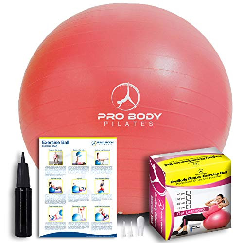 Exercise Ball - Professional Grade Anti-Burst Fitness  Balance Ball for Pilates  Yoga  Birthing  Stability Gym Workout Training and Physical Therapy  Red  65 cm Exercise Ball - Professional Grade Anti-Burst Fitness  Balance Ball for Pilates  Yoga  Birthing  Stability Gym Workout Training and Physical Therapy  Red  65 cm