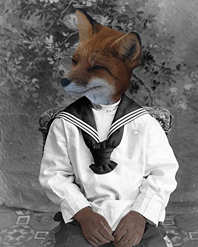 Victorian RED FOX Boy in SAILOR SUIT Altered anthro portrait art print
