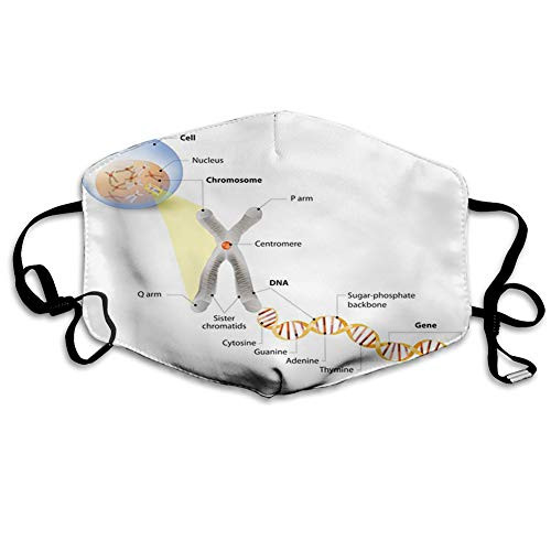 Activated Carbon Windproof mask Educational?Cell Chromosome DNA Gene Genome Study Double Helix Evolution Science Research Grey Blue Facial decorations for Unise adults
