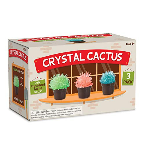 MindWare Crystal Growing Kits  Cactus