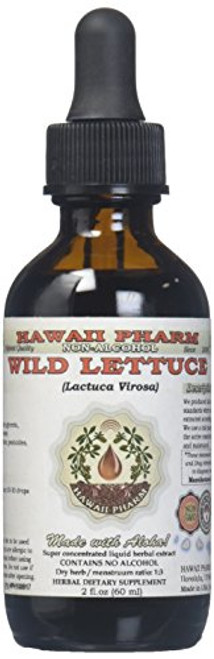 Wild Lettuce Alcohol-FREE Liquid Extract  Organic Wild Lettuce  Lactuca Virosa  Dried Herb Glycerite Natural Herbal Supplement  Hawaii Pharm  USA 2 fl.oz