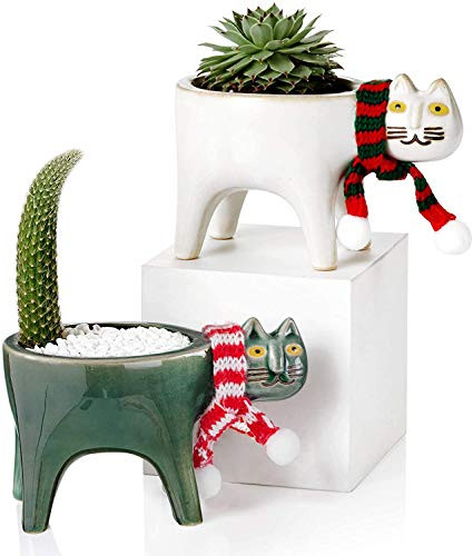 CwlwGO-Collective Planter Succulent Pots with Drainage - Succulent Planter Perfect for Cat Ceramic Garden Pots Cactus Planter Pot  GreenPlusWhite