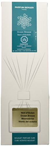 MAISON BERGER Ocean Breeze Reed Diffuser  Clear