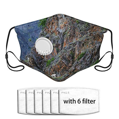 Dall Sheep On Side Chugach Mountain Alaska Nature Face Mask Cloth Face Cover Washable Reusable Face Covers Activated Carbon Filter Dust Mask with A Valve with 6 Filter
