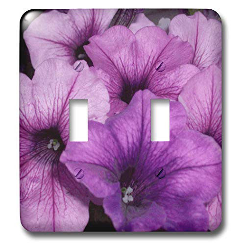 3dRose LLC lsp_11192_2 Purple Posies Double Toggle Switch