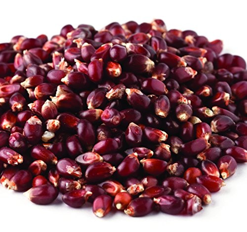 Kauffman's Fruit Farm Bulk Non-GMO Red Popcorn  5.5 Lb. Bag
