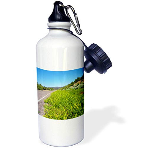 3dRose Jos Fauxtographee- Roadside Flowers - in Central Utah Yellow Wild Flowers Growing Along Side The Road - Flip Straw 21oz Water Bottle  wb_323727_2