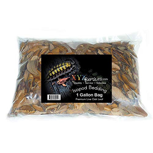 XYZReptiles Premium Live Oak Leaf Litter Isopod Substrate Terrarium Bedding 1 Gallon XYZReptiles Premium Live Oak Leaf Litter Isopod Substrate Terrarium Bedding 1 Gallon