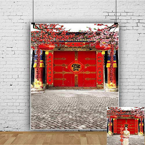 OFILA Chinese Lunar New Year Backdrop 8x10ft Chinese Spring Festival Backdrop Chinese Fu Background Red Lanterns Oriental Style Background Asian Theme Party Backdrop New Year Party Photos Props