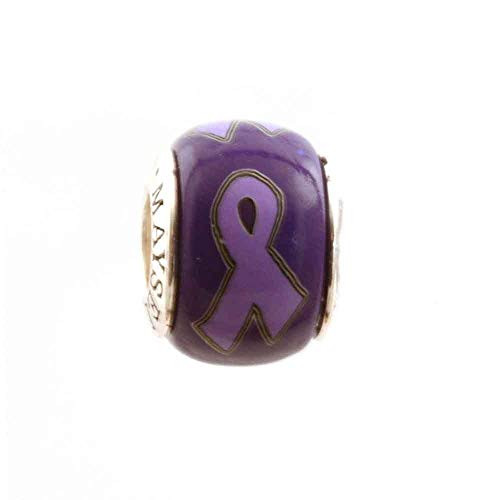 Purple Orchid Ribbon Awareness Bead Alzheimer's Pancreatic Cancer Epilepsy Cystic Fibrosis Lupus Testicular Cancer for Add-A-Bead Bracelets Clay and Sterling Silver by MAYselect Purple Orchid Ribbon Awareness Bead Alzheimer's Pancreatic Cancer Epilepsy Cystic Fibrosis Lupus Testicular Cancer for Add-A-Bead Bracelets Clay and Sterling Silver by MAYselect