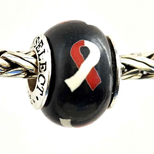 Aplastic Anemia Red and White Awareness Ribbon Bead Charm for Add-A-Bead Bracelets Clay and Sterling Silver by MAYselect Aplastic Anemia Red and White Awareness Ribbon Bead Charm for Add-A-Bead Bracelets Clay and Sterling Silver by MAYselect