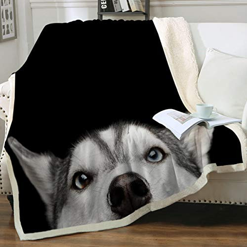 Sleepwish Husky Dog Throw Blanket Black White Puppy Dog Sherpa Fleece Blanket Soft Warm Bed Couch Blanket Kids Girl Cute Blankets 50" x 60" Sleepwish Husky Dog Throw Blanket Black White Puppy Dog Sherpa Fleece Blanket Soft Warm Bed Couch Blanket Kids Girl Cute Blankets 50" x 60"