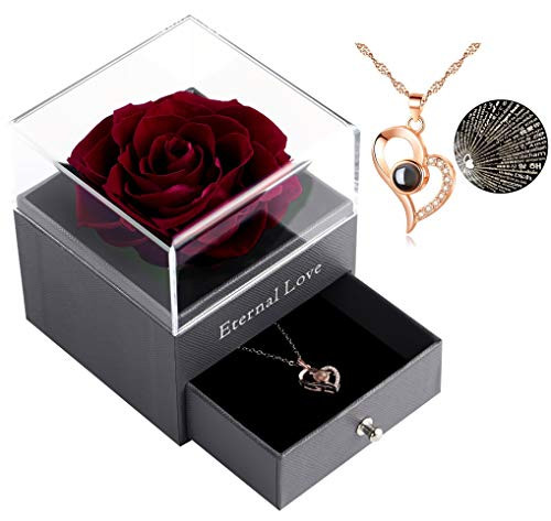 Preserved Real Rose with Heart Love You Necklace in 100 Languages Gift Set Enchanted Real Rose Flower for Valentine's Day Anniversary Wedding Bthday Romantic Gifts for her Wine Red Preserved Real Rose with Heart Love You Necklace in 100 Languages Gift Set Enchanted Real Rose Flower for Valentine's Day Anniversary Wedding Bthday Romantic Gifts for her Wine Red
