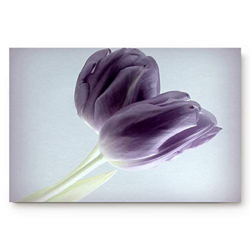 Doormats Entrance Rugs Carnation Entryway Door Mats Purple Flower Floor Mats Apartment Office Front Door 20 x 31.5 inches Doormats Entrance Rugs Carnation Entryway Door Mats Purple Flower Floor Mats Apartment Office Front Door 20 x 31.5 inches