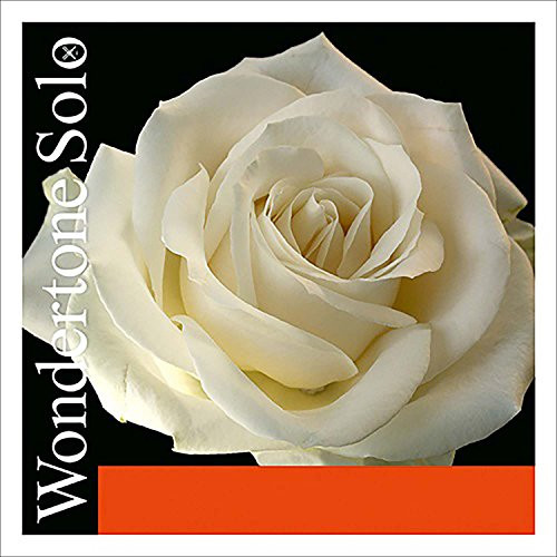 Pirastro Wondertone Solo 4/4 Violin E String - Medium Gauge - Silvery Steel - Ball End