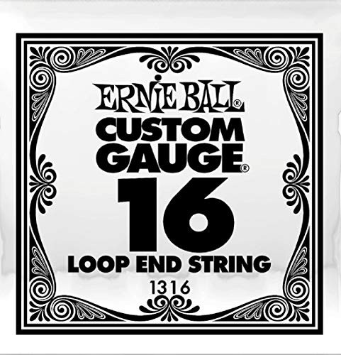 Ernie Ball 1316 - .016 Loop End Stainless Steel Plain Banjo or Mandolin Single String
