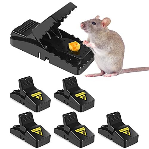 Mouse Traps, 6 Pack Small Mice Traps, Best Reusable Mouse Traps, Indoor Rat Traps Quick Effective, Sanitary Safe Mousetrap Catcher for House