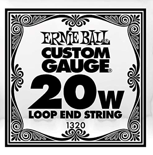 Ernie Ball P01320 -1320- .020 Loop End Stainless Steel Wound Banjo or Mandolin Guitar SINGLE String