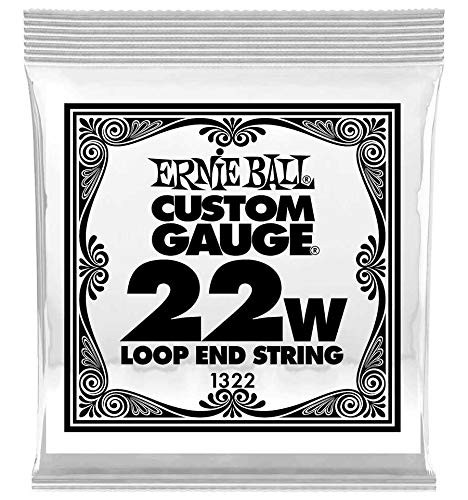 Ernie Ball 1322 .022 Loop End Stainless Steel Plain Banjo or Mandolin Single String