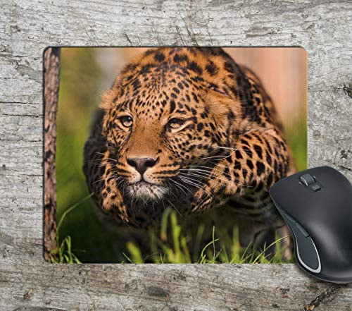 Running Leopard Fun Fan Computer Mousepad Mouse Pad Mouse Mat Matt Pad Anti-Slip